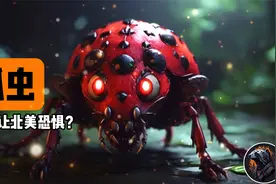 瓢虫，益虫还是害虫？葡萄酒被毁，生态系统混乱！视频封面