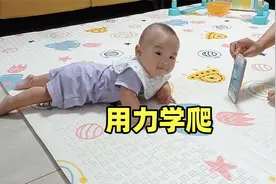 手机成了引导宝宝爬行玩具视频封面