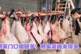 房车贵州自驾游，到了黄里苗寨，深度体验他们的过年气氛，太热闹视频封面