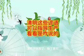 清明这些谚语，可以指导生产，看看是咋说的视频封面