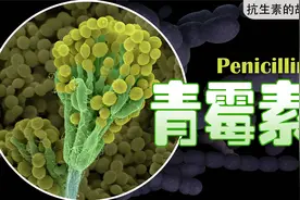 难产15年,200科学家合力,战火孕育的医学奇迹【青霉素4K高清】视频封面