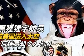 美国将一只黑猩猩送进了太空，历经冒险重返地球，结局却令人心酸视频封面