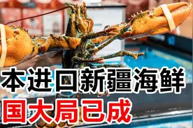 日本进口新疆海鲜，中国大局已成视频封面