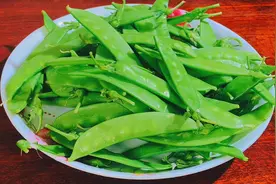 炒荷兰豆，万万不要焯水和直接下锅，教你技巧，翠绿爽口入味下饭视频封面