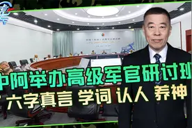 中阿举行高级军官研讨班，大规模高级别，以后还得接着办视频封面
