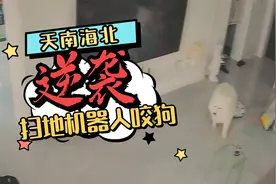 扫地机器人咬狗，科幻还是太保守视频封面