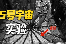 老鼠预言人类末日，出生率下降不可避免，一个实验引发世界恐慌视频封面