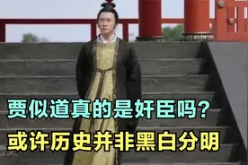 贾似道真的是奸臣吗？或许历史并非黑白分明视频封面