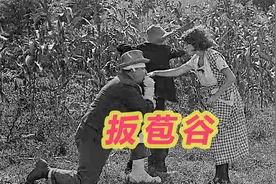 陕西话 美女够狠！为扳苞谷，一辈子都搭进去了视频封面