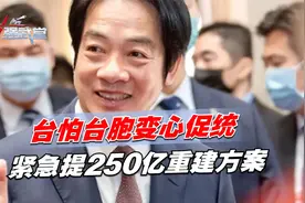 大陆有意援建花莲灾区，台怕台胞变心促统，紧急提250亿重建方案视频封面