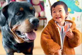 妈妈不让小孩出门，狗狗用一招金蝉脱壳，带小孩顺利溜走！视频封面