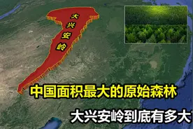 面积达33万平方公里，有着林海之称的大兴安岭，到底有多大？视频封面