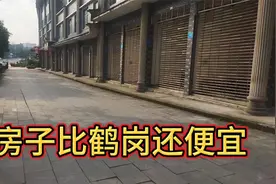 房子比鹤岗还便宜，买一套送一套，街道干净整洁，养老适合视频封面