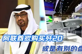 求购中国歼20战机，阿联酋的意外之举，全在中国意料之中视频封面