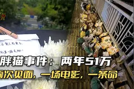 “胖猫事件”：看完聊天记录，哀其不幸，怒其不争！视频封面