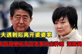安倍昭惠：丈夫遇刺后离开婆婆家，回安倍老家开店种田，深居简出视频封面
