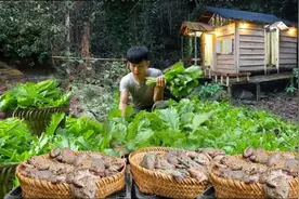 农村小伙隐居峡谷360天，仅凭一己之力，打造前所未有的世外桃源视频封面
