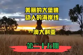 世界上最大的珊瑚礁群，美丽的大堡礁所在的国家-澳大利亚视频封面