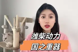 一个视频看懂潍柴动力，发动机遥遥领先。视频封面