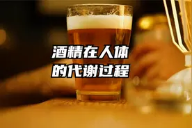 酒精在人体的代谢过程视频封面