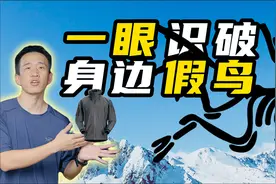 【全网最细致】始祖鸟高危款真假对比 之 军鸟Alpha Jacket Gen2视频封面