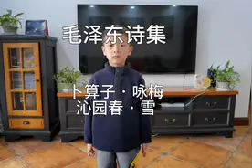 毛泽东诗集（卜算子 · 咏梅  沁园春 · 雪）视频封面