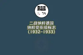 二战纳粹德国纳粹党衔级标志（1932年-1933年）视频封面