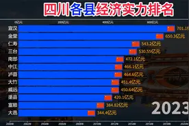 四川各县经济实力排名，宣汉一路高歌猛进视频封面