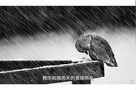 雨天参数怎么调？只需一个档位，拍出不同意境美！视频封面