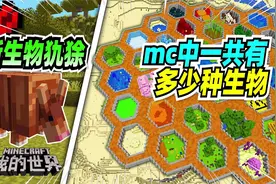我的世界：玩家在mc中打造了一个动物园，里面竟还有新生物犰狳！视频封面