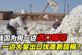 中国每年需进口200万吨棉花，却将优质新疆棉出口，到底是为何？视频封面