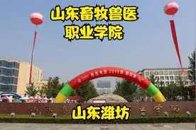 山东畜牧兽医职业学院视频封面