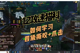 魔兽世界PIUS，又削猎人，1.2攻速猫科宝宝如何学习四级爪击+撕咬