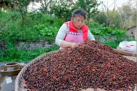 桃子妈制作麻辣豆豉，传统工艺自然发酵，拌上调料瞬间流口了啦！视频封面