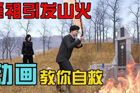 兄妹清明节上坟祭祖引发山火，三维动画教你如何在森林火灾中自救视频封面