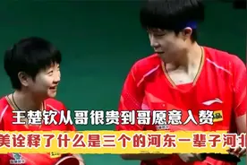 王楚钦从哥很贵到哥愿意入赘 ，完美诠释了三个的河东一辈子河北视频封面
