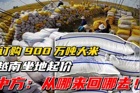 我国订购越南900万吨大米，越南坐地起价，中方：从哪来回哪去视频封面