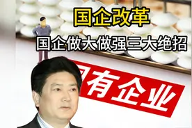 国企做强做大三大绝招视频封面