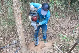 神器挖野生山药无敌了，1分钟挖一个，渔夫说要挖300斤！视频封面