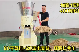 80干秸秆+20玉米麦麸，压制饲料颗粒养牛羊，效果如何？400颗粒机视频封面