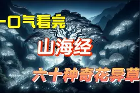 一口气看完山海经60种奇花异草视频封面