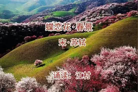 苏轼的春天2、蝶恋花 春景 宋 苏轼 花褪残红青杏小视频封面