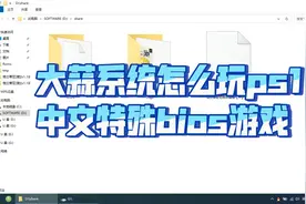 大蒜系统怎么玩ps1中文特殊bios游戏