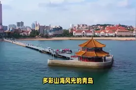 春天的青岛处处皆入画，这些名人来过了都说好视频封面