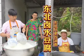东北卤水豆腐视频封面