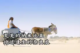 残酷的纳米比亚沙漠，绝处逢生的奈良瓜！视频封面