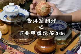 普洱茶测评之下关甲级沱茶2006视频封面