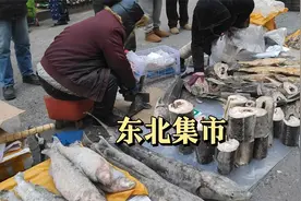 哈尔滨本地人的生活，真相呈现于眼前，零下20多度视频封面
