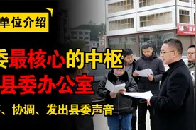 体制单位之县委办公室，全县最核心的权力中枢，统筹发出县委声音