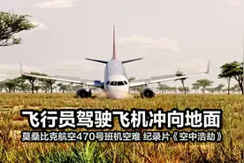 录音证实机长故意让飞机坠毁，两年后另一飞行员效仿，空难纪录片视频封面